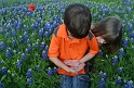 Kids_Bluebonnets2013 (227)
